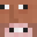 Pohnal classic skin texture