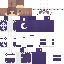 sineworks Minecraft skin preview