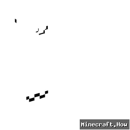 cincii