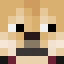A_Random_duck4 classic skin texture