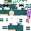 TM91 Minecraft skin preview