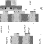 beanplebs Minecraft skin preview
