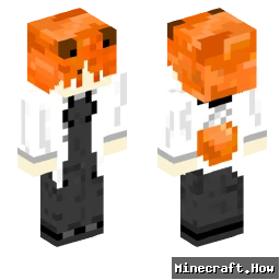 _DrFox_ - Minecraft skin