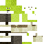 pol1234 Minecraft skin preview