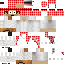 496ms classic skin texture
