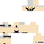 aswdssssw classic skin texture