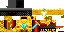 TheGoldRanger classic skin texture