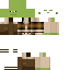 SoaringBear classic skin texture