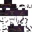 EnderCrowYT classic skin texture