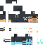 Camninja9119 classic skin texture