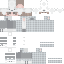 IceKingDom120 Minecraft skin preview