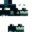Liamplay12 classic skin texture