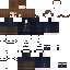 shoyalmao classic skin texture