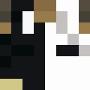 apollo_890 classic skin texture