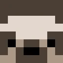 GamerSloth143 classic skin texture