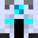 Joster1181 classic skin texture