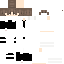 whirlvoid Minecraft skin preview