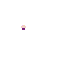 nolburst Minecraft skin preview