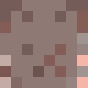 zronk_ classic skin texture