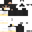 plsw Minecraft skin preview