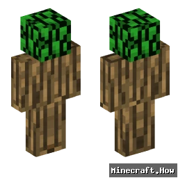tree20
