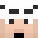Arashi_Senko classic skin texture
