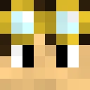 NullPointer_ classic skin texture