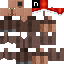 Brillenstein Minecraft skin preview