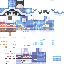 somenerdinsa Minecraft skin preview