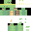 MrTurtle63 Minecraft skin preview