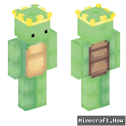 MrTurtle63