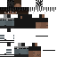 dpqt Minecraft skin preview