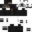 p011ar Minecraft skin preview