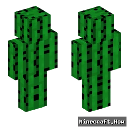 SpikefulCacti