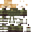 RayZkFr Minecraft skin preview