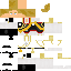 Joe_Biden_lol Minecraft skin preview