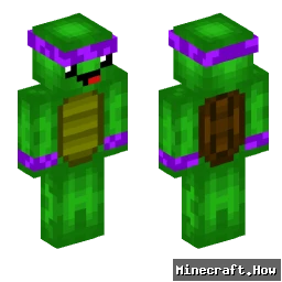 turtlemaster12