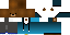 DiscoBear00 Minecraft skin preview