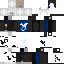 Defugu Minecraft skin preview