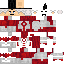 WorldOfHarrybo Minecraft skin preview