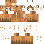 Faithind1Pi_ Minecraft skin preview