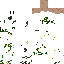 aidn_nvl Minecraft skin preview