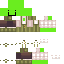 Scrypt_ Minecraft skin preview