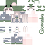 SpamFam Minecraft skin preview