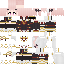 ballape69 Minecraft skin preview