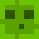 SSoli_ classic skin texture