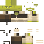 NoZombie Minecraft skin preview