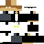 rohamzareie Minecraft skin preview