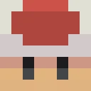 Dustyz classic skin texture