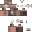 Skyforo Minecraft skin preview